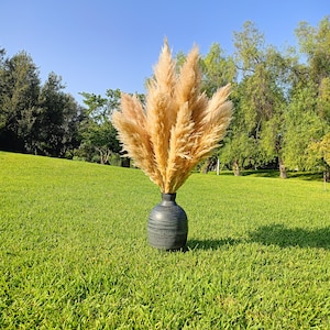 XXL TALL PAMPAS Grass 1-1,5m Großer Verkauf Boho Wohndekor Hochzeitsdekorationen Pampas Blumenstrauß Blumenarrangement Boho Hochzeit Bild 7