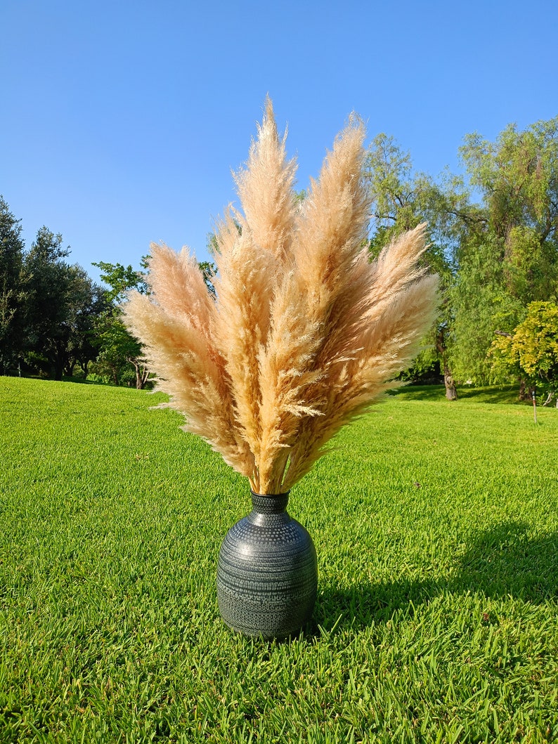 XXL TALL PAMPAS Grass 1-1,5m Großer Verkauf Boho Wohndekor Hochzeitsdekorationen Pampas Blumenstrauß Blumenarrangement Boho Hochzeit Bild 5