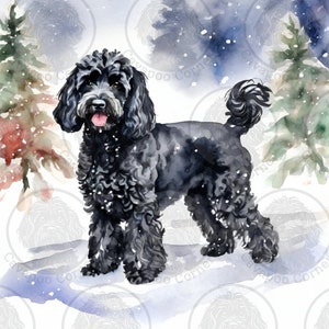 Pode incluir: Pintura em aquarela de um cão Cavapoo preto em uma cena de inverno com neve. O cão tem pelo encaracolado e uma língua rosa. Árvores perenes e neve caindo completam a paisagem de inverno. A imagem tem um estilo suave e artístico.