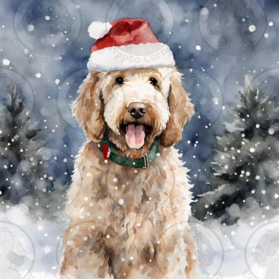 Labradoodle Christmas Cards Pack of 10 Greeting Cards With Standard