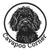 Cavapoo Christmas Cards Pack of 10 Greeting Cards (standard Envelopes ...