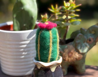 Frhlicher kleiner Kaktus - Handnadelgefilzt aus 100% Wolle - Etsy.de
