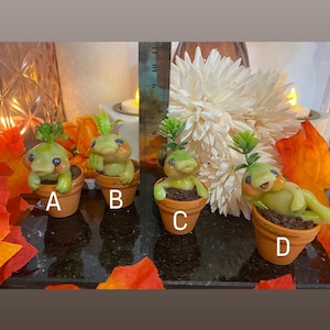 Puede incluir: Cuatro pequeñas plantas en maceta con hojas verdes y macetas marrones. Las plantas tienen forma de pequeñas criaturas con caras. Las macetas están etiquetadas con A, B, C y D.