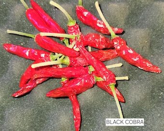 Black Cobra pepper seeds