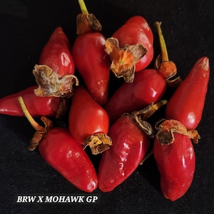 May include: A close-up of a group of ten red chili peppers. The peppers are arranged in a cluster on a black background. The text "BRW X MOHAWK GP" is visible at the bottom of the image.