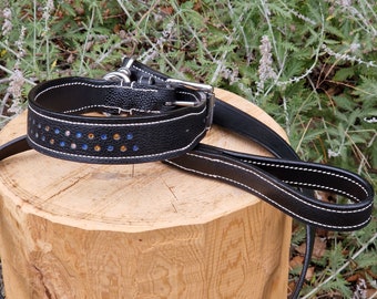 Collar with matching leash for large dog