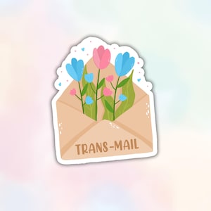 Sticker vinyle Trans Mail FTM, sticker calembour drôle LBGTQ, sticker mois de la fierté MTF transgenres, sticker journal Kindle imperméable bouteille d'eau pour ordinateur portable