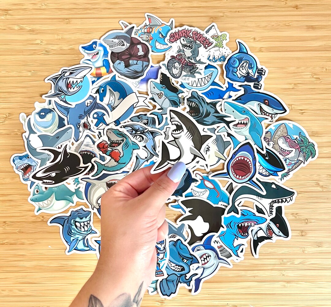 Shark Sticker Pack, Waterproof Mystery Sticker Pack, Random Hammerhead ...
