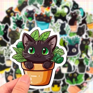 Pack d'autocollants chat noir kawaii, stickers plante bégonia mignon, cadeau drôle chat noir pour amoureux des plantes, bouteille d'eau pour ordinateur portable Kindle bagages Stickers