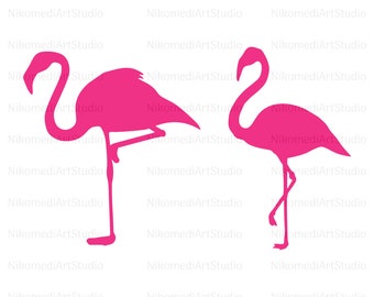 Flamingo SVG, Flamingo, Pink Flamingo Vector, Cute Summer SVG, Flamingo silhouette, Flamingo Clipart, Flamingo Cut File, Cricut, Jpg/Png/Pdf