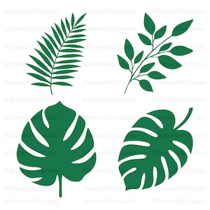 May include: Four green tropical leaf silhouettes. The leaves are isolated on a white background. The leaves are in different shapes and sizes.
