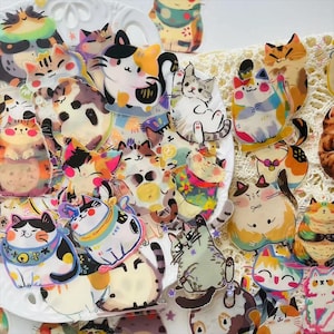 50 Stickers chats amusants en PET - Designs colorés de chatons pour un cadeau pour les enfants et les amoureux des chats, des agendas, des téléphones, des albums de coupures et des décorations d'ordinateurs portables