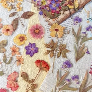 40 adesivos com tema de outono vintage, flores e folhas de cogumelo - Design de flores Cottagecore para scrapbook, artesanato DIY, enfeites e diário