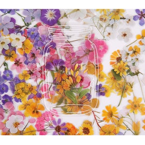 40 sztuk/worek Przezroczyste naklejki kwiatowe | Realistyczny pakiet naklejek botanicznych | Prasowane kwiaty estetyczne do scrapbookingu, dzienników DIY