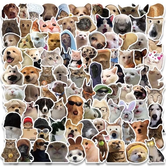 200 Sticker Gatti E Cani - Adesivi Colorati Per Decorare Diario, PC E Bottiglie - Foto 4