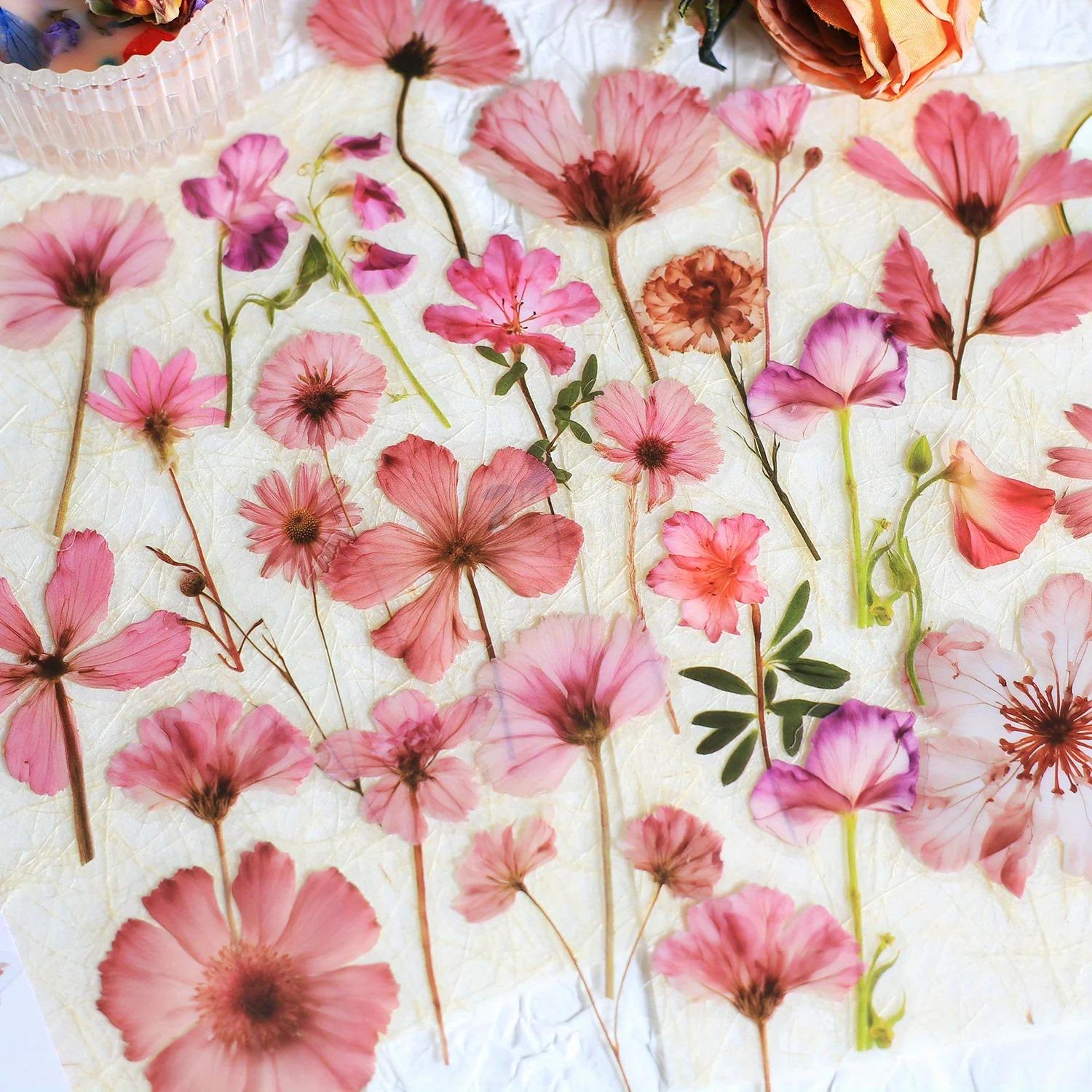 50PCS Pressed Flower Stickers Set – Realistic PET Floral Stickers for ...