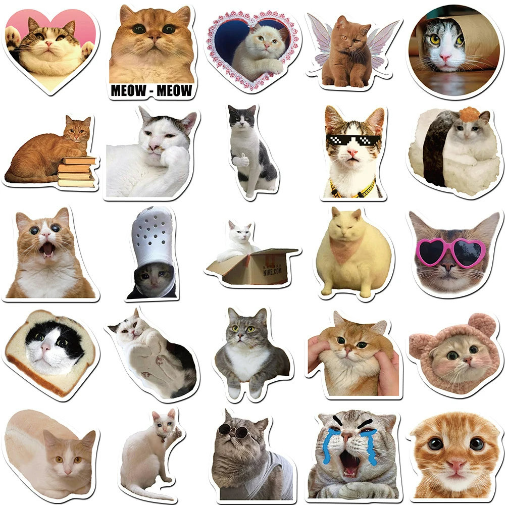 10/30/50PCS Funny Cat Meme Cartoon Sticker | Cute Cat Sticker for ...