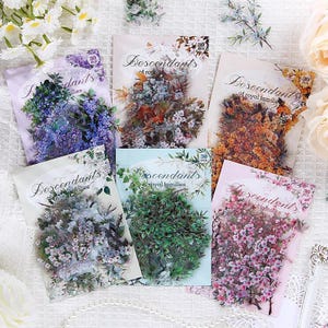Confezione da 30 adesivi trasparenti floreali vintage - 6 design / adesivi botanici decorativi per scrapbooking, journaling e artigianato
