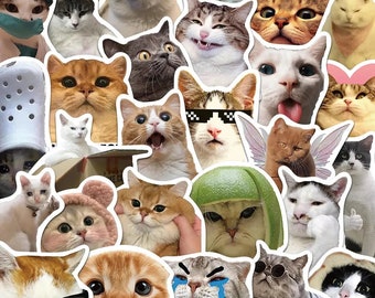 10/30/50 STKS grappige kat meme cartoon sticker | Schattige kat sticker voor laptop, notebook, plakboek | Dierensticker Meme | Cadeau voor kinderen