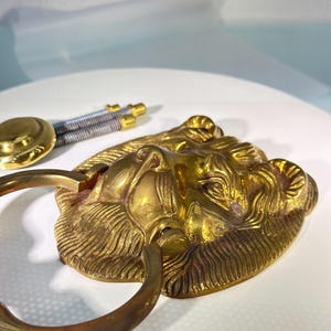 May include: A brass door knocker shaped like a lion's head with a ring handle. The knocker has a detailed design and a textured surface.