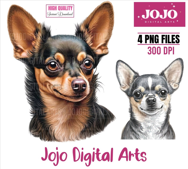Chihuahua Dog PNG Chihuahua Clipart Chihuahua Dog Face - Etsy