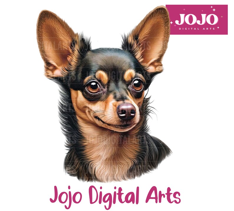 Chihuahua Dog PNG Chihuahua Clipart Chihuahua Dog Face - Etsy
