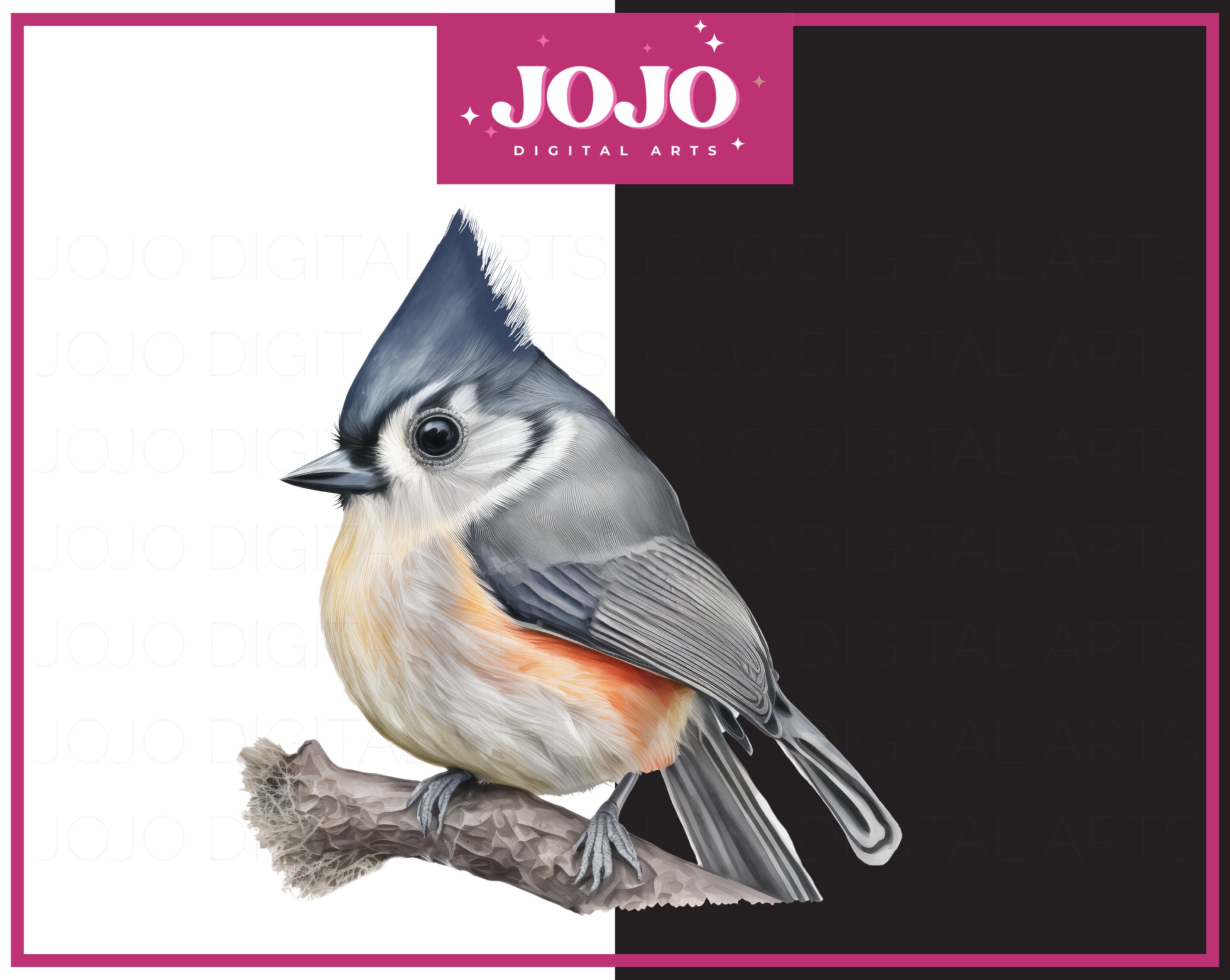 5 Tufted Titmouse Bird Png Clipart Tufted Titmouse Etsy Canada