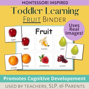 Toddler Learning Binder Real Fruit - Preschool busy book with Realistic Images of Fruits - Montessori inspired learning binder