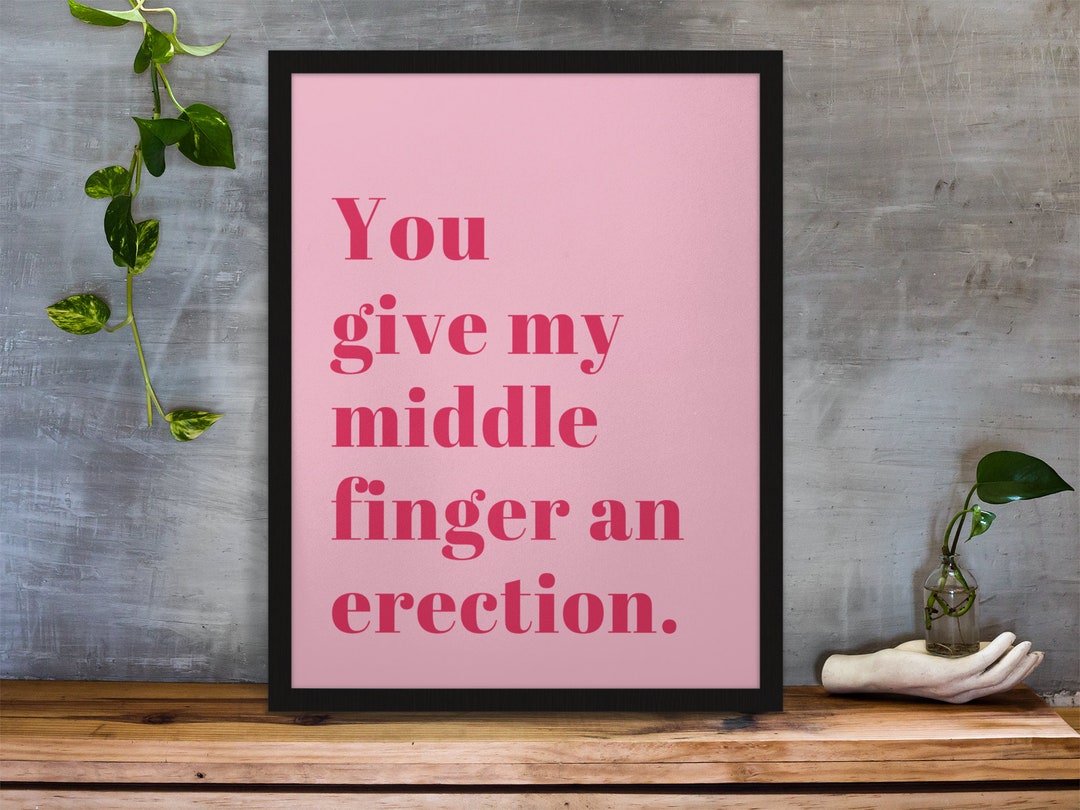 You Give My Middle Finger an Erection Rude Wall Art Funny Poster Home