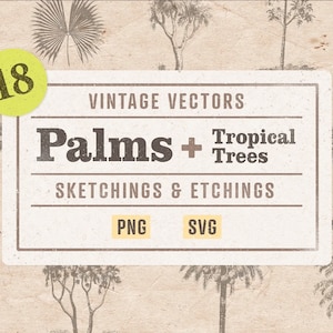 18 Palmen und tropische Bäume, SVG-Vektorgrafik und PNG-Format, gemeinfreier digitaler Download