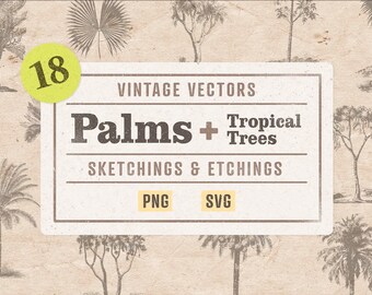 Op de afbeelding: Een vintage stijl illustratie van 18 palmen en tropische bomen. De afbeelding is in zwart-wit en heeft een textuur achtergrond. De tekst "Vintage Vectors Palms + Tropical Trees Sketchings & Etchings PNG SVG" staat op een witte rechthoek.