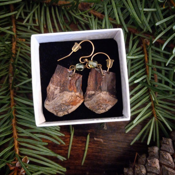 Natural Pinecone Scale Earrings