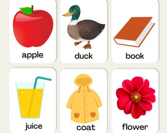 First Words Alphabet Flash Cards Baby Toddler Children Educational Learning SEN