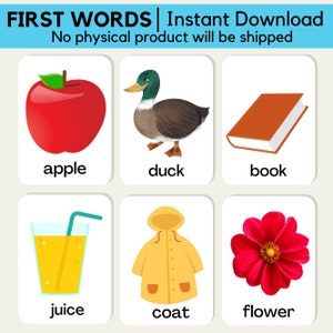 Alphabet premiers mots cartes flash bébé tout-petit enfants apprentissage éducatif SEN