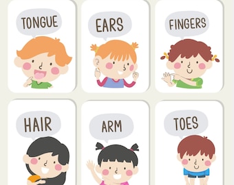 Parts of the Body Flash Cards Instant Download Kids learning Human Anatomy Educational Preschool Toddler Science Body Parts