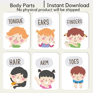 Parties du corps Flash Cards Téléchargement instantané Enfants apprenant l’anatomie humaine Éducatif Préscolaire Tout-petit Science Parties du corps