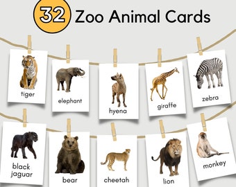 Zoo Animal Cards Flash Cards Children Toddler Printable Digital Educational Cards Preschool Learning Montessori Animals