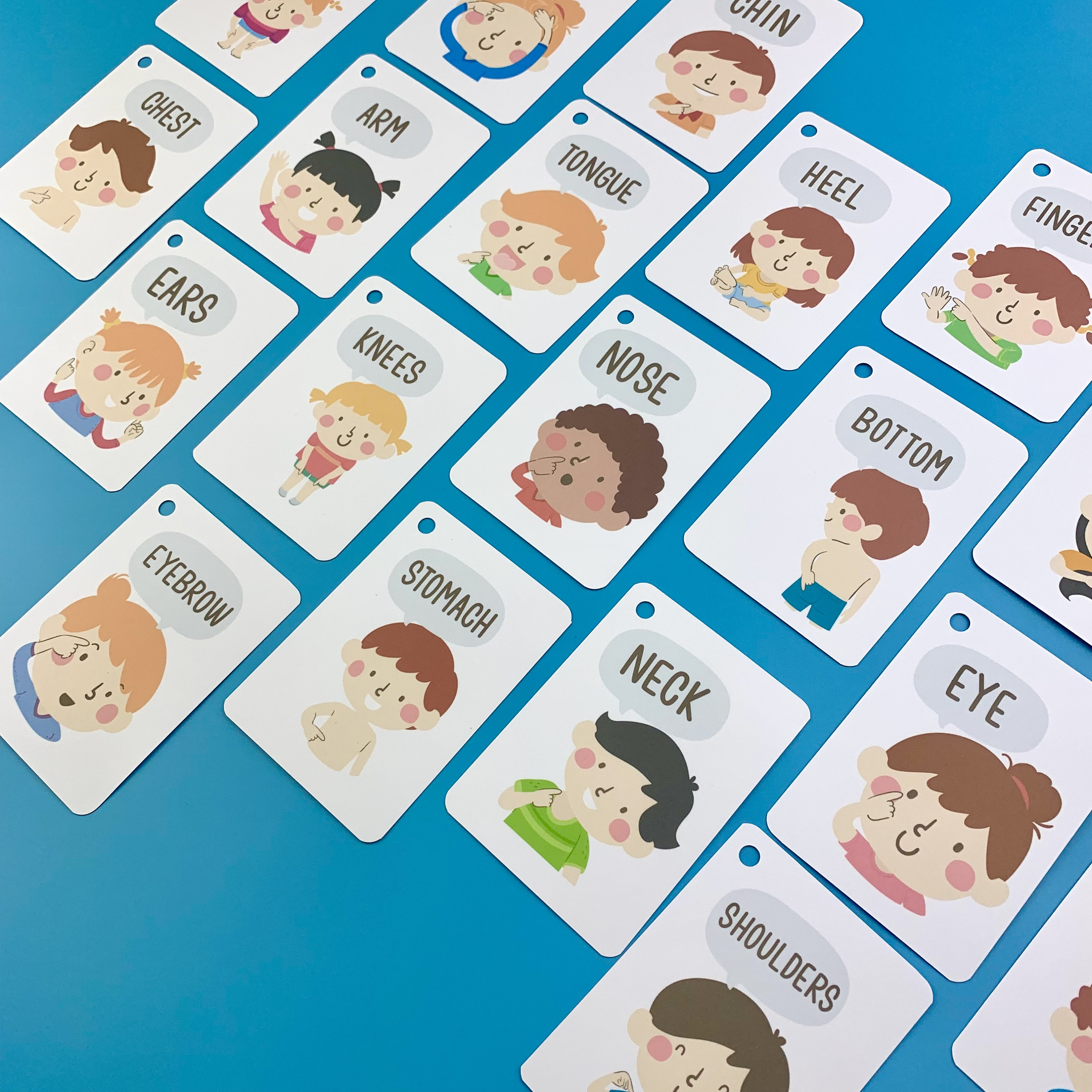 Parts of the Body Flash Cards Instant Download Kids Learning Human ...