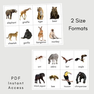 Zoo Animal Cards Flash Cards Children Toddler Printable Digital Educational Cards Preschool Learning Montessori Animals image 4