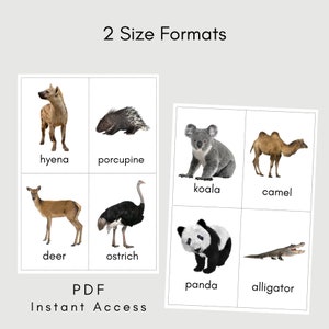Zoo Animal Cards Flash Cards Children Toddler Printable Digital Educational Cards Preschool Learning Montessori Animals image 3