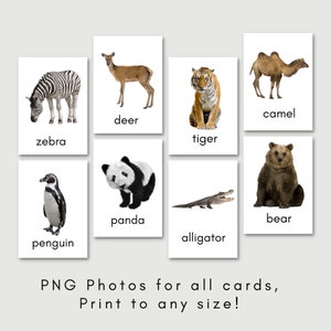 Zoo Animal Cards Flash Cards Children Toddler Printable Digital Educational Cards Preschool Learning Montessori Animals image 5