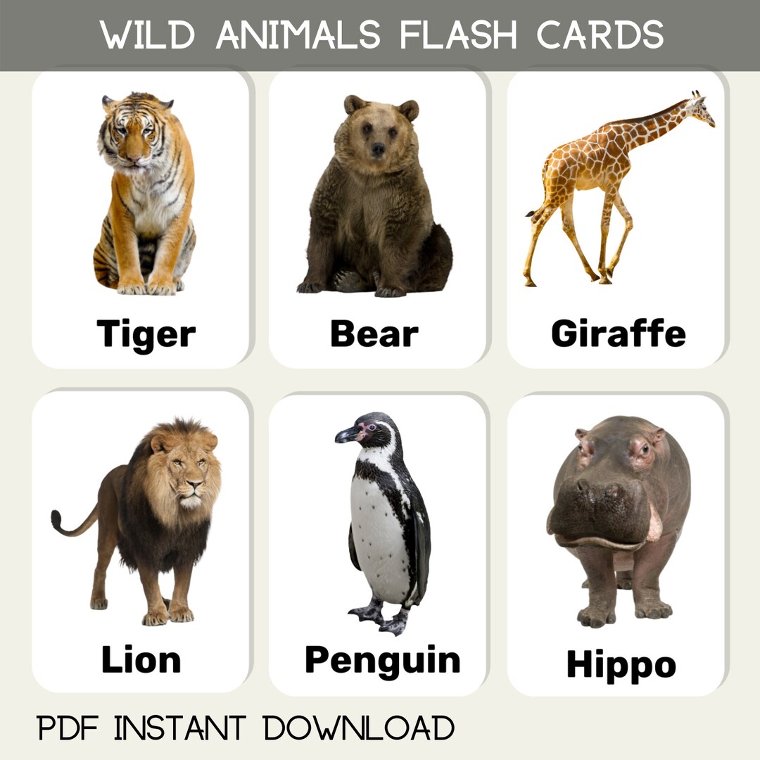 Zoo Wild Animals Flash Cards Children Toddler Printable - Etsy Zoo Wild Animals Flash Cards Children Toddler Printable - Etsy