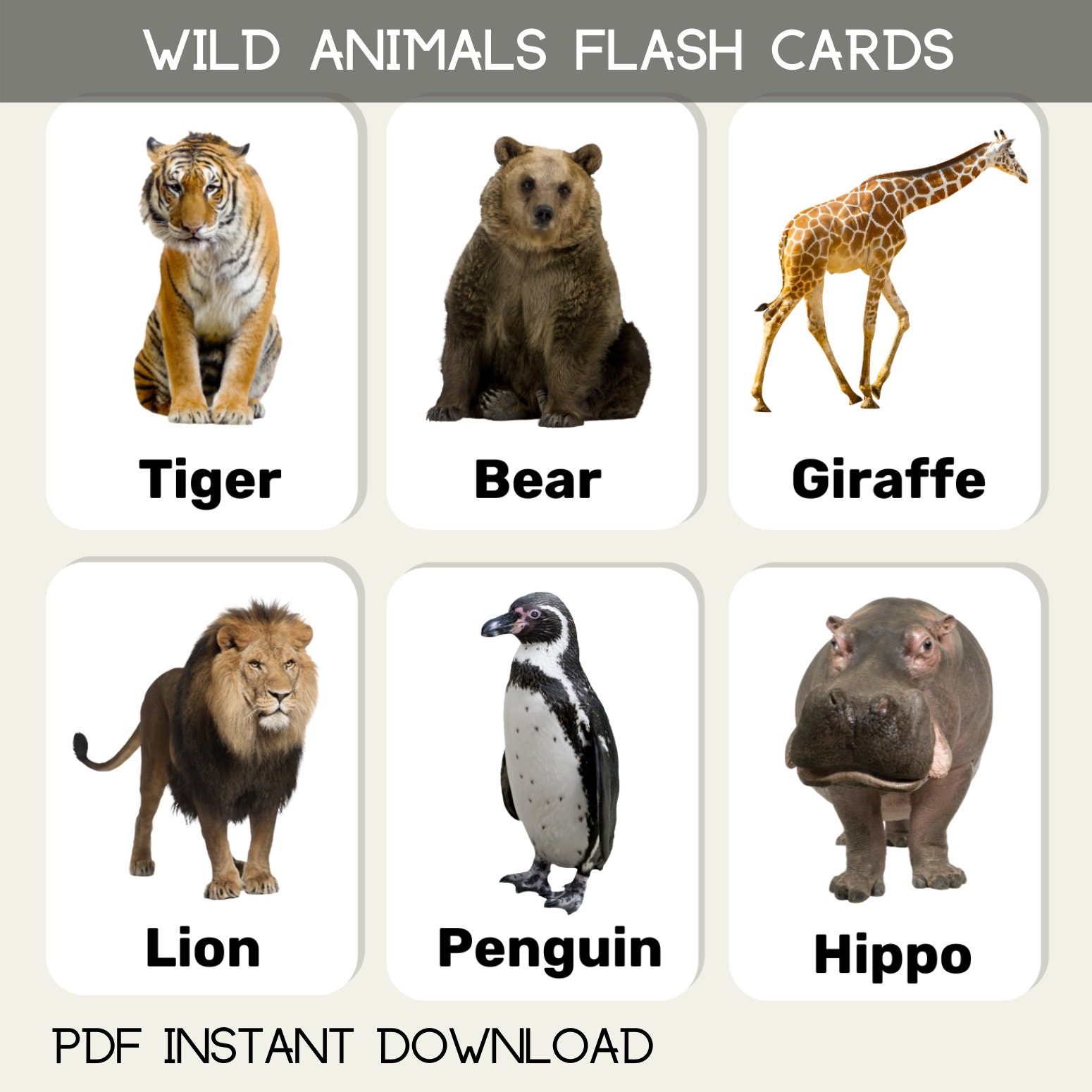 Zoo Wild Animals Flash Cards Children Toddler Printable - Etsy Zoo Wild Animals Flash Cards Children Toddler Printable - Etsy
