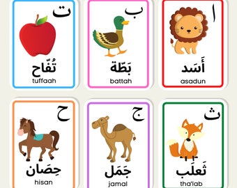 Arabic Alphabet Educational Flash Cards Learning Islamic Quran Tajwid Muslim Children First Words Digital