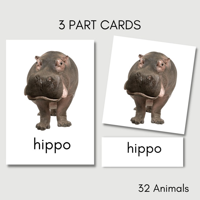 Zoo Animal Cards Flash Cards Children Toddler Printable Digital Educational Cards Preschool Learning Montessori Animals image 2