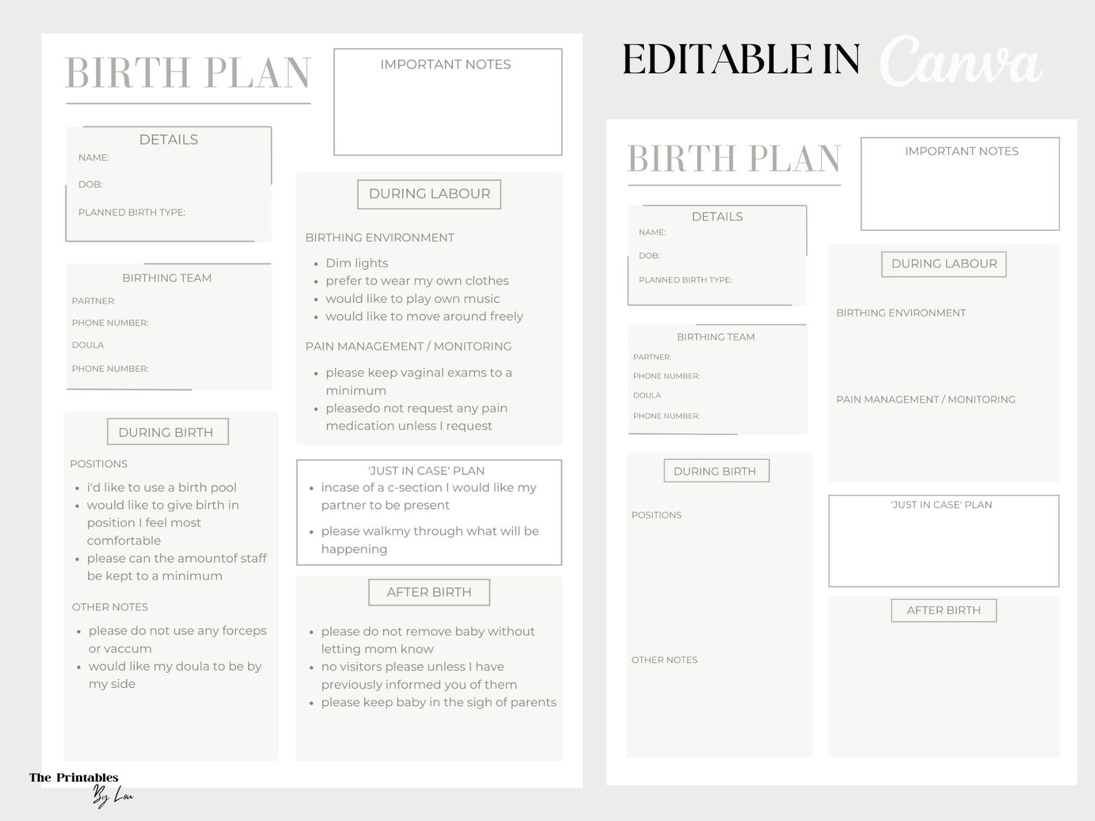 Editable Birth Plan Template Printable Birth Plan Birth Etsy editable-birth-plan-template-printable-birth-plan-birth-etsy