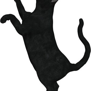cat svg