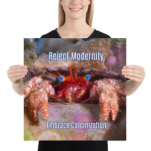May include: A red and orange hermit crab with blue eyes is peeking out of its shell. The crab is surrounded by coral and the text "Reject Modernity Embrace Carcinization" is printed on the image.