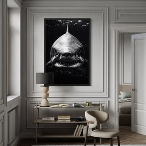 May include: A black and white framed print of a great white shark, centered on a wall in a room. The shark is facing forward, with its mouth open. The room has white walls, a beige chair, and a wooden shelf with books and a lamp.