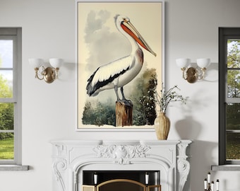 Vintage Pelican Wall Art - Coastal Bird Illustration Canvas Print, Nature Birdwatcher Decor, Framed Ready To Hang